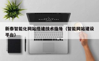 温州新泰智能化网站搭建技术指导（智能网站建设平台）